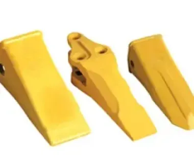 RĂNG GẦU, LỢI GẦU, MÁ CẮT