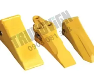 RĂNG GẦU, LỢI GẦU, MÁ CẮT
